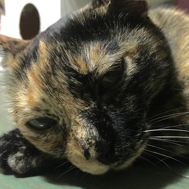 92526fd3 99d8 4c90 99f5 f2e43c2cb287