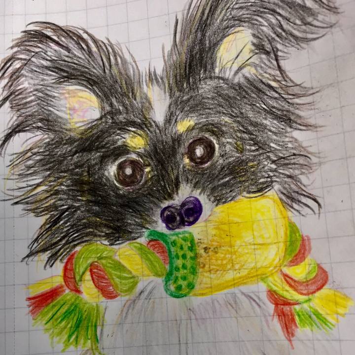 92533739 e2a9 4e04 93aa 6ce923a5819e