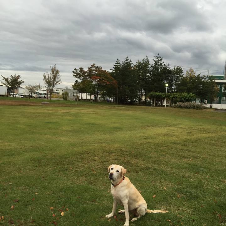 92534150 bada 45d1 a551 f76788c645b4