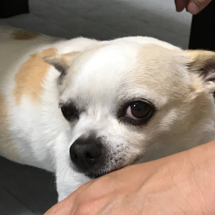 92538593 9bf6 48c1 8569 ab330282107b