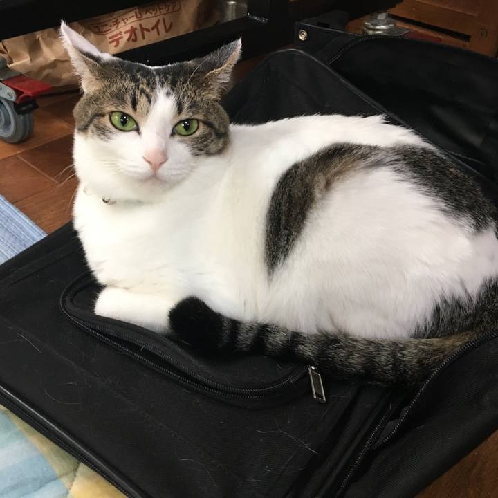 92539807 c58e 4294 ad36 548d69b33f03