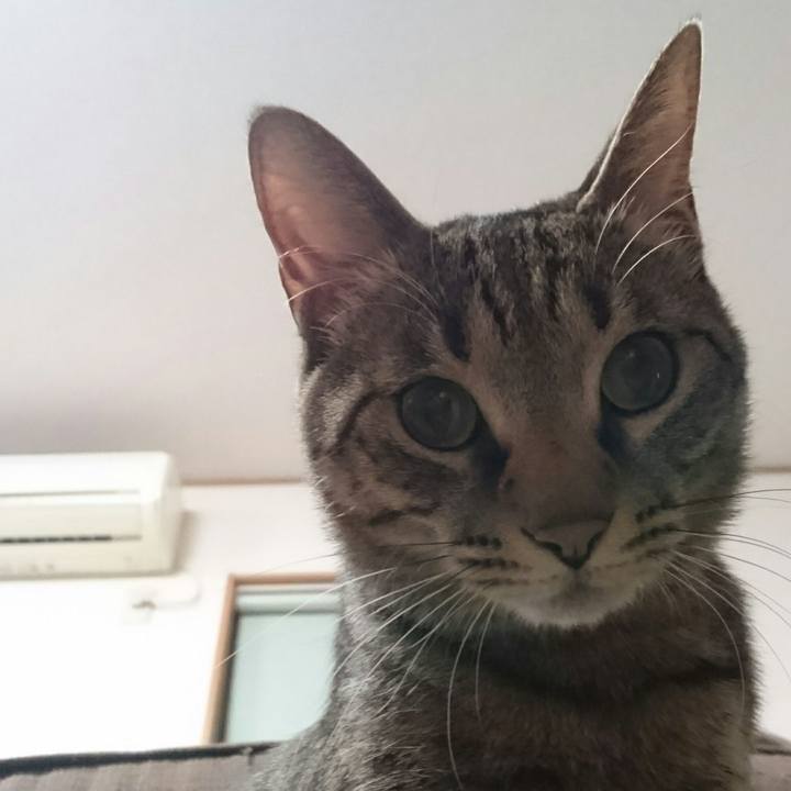 9253bd8a 5166 4fc0 b8d7 c94f44b98f98