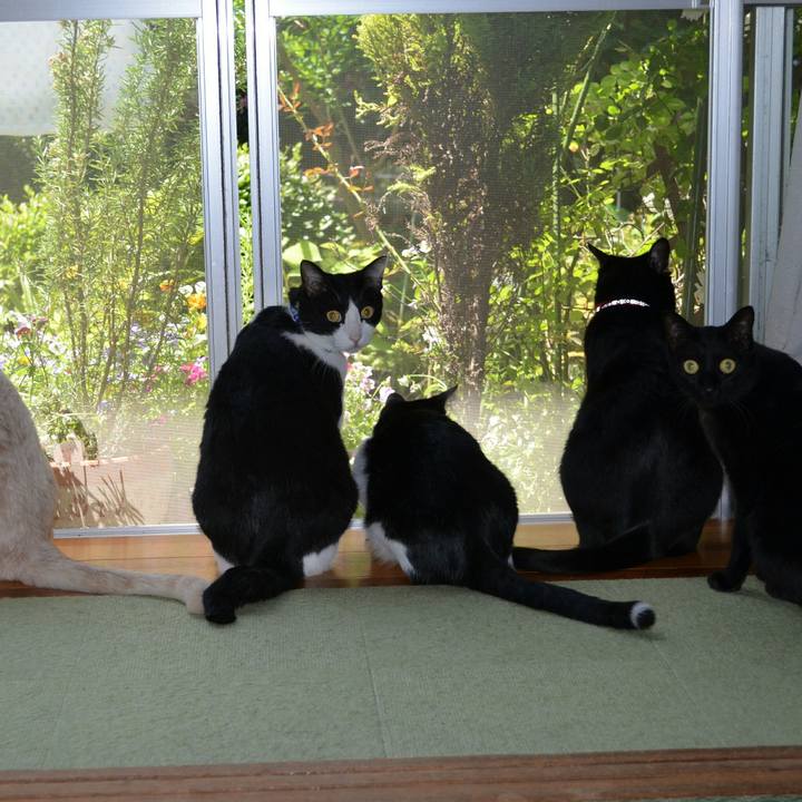 92547f80 bcb8 45ee 86e9 7072972f5b59