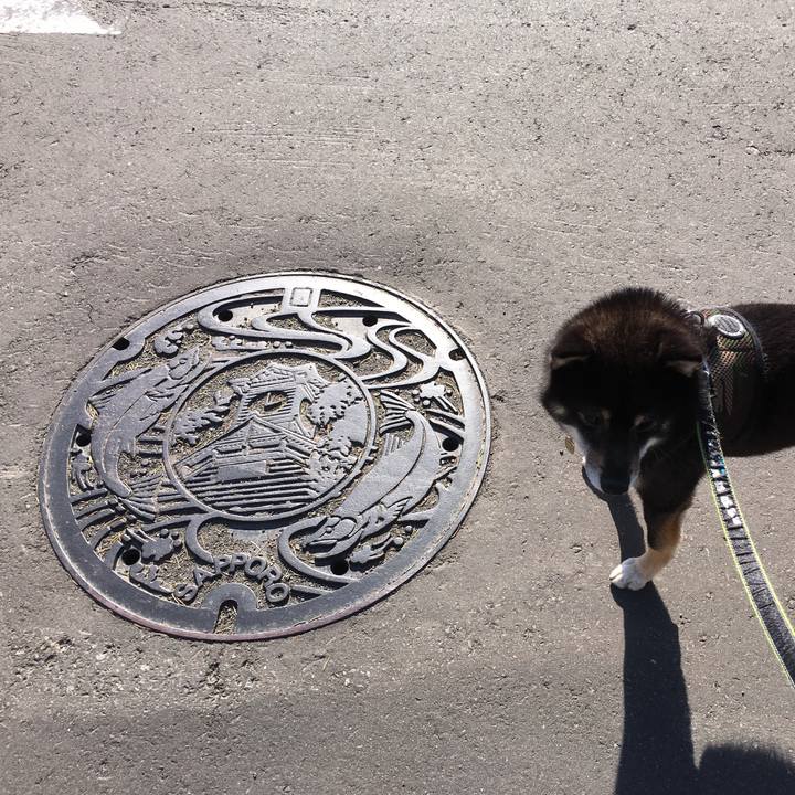 9254d0ee 0e73 460f b908 6ca67160e6f7