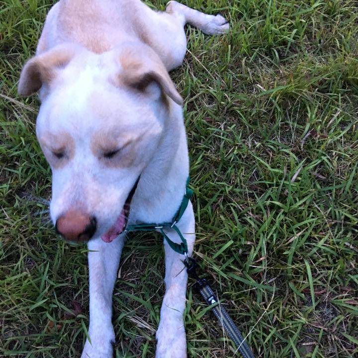 925537ec 4927 4c87 bd07 46655142c4f5