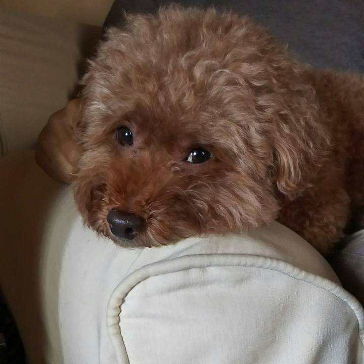 92554353 565f 4142 a0c5 91895f4a8516