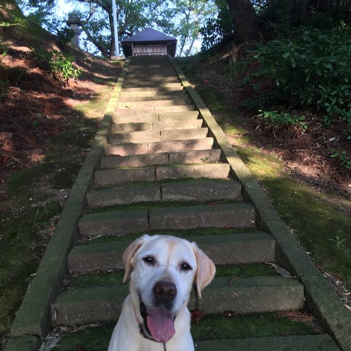 92555f6d 0fd1 4223 b825 e752acaef1d3