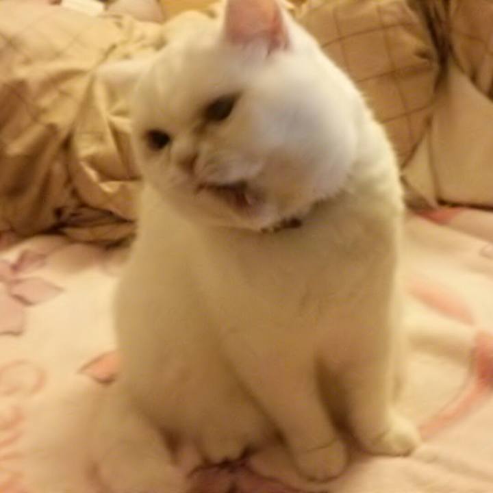 9255bb92 4dc6 4926 8037 69291441050b