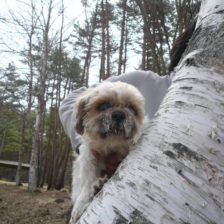 92566b31 490e 4dbd beb5 113961d7187c