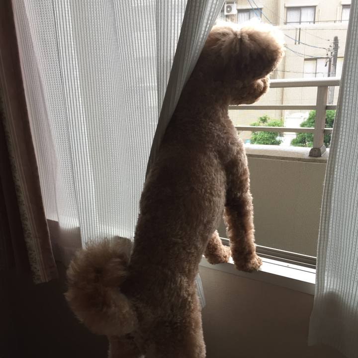 92568cc5 bf44 43b8 a2af bf8ff3d1b448