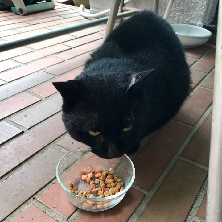 9256ab4c 514a 4e0f 972d e17a1d67ac37