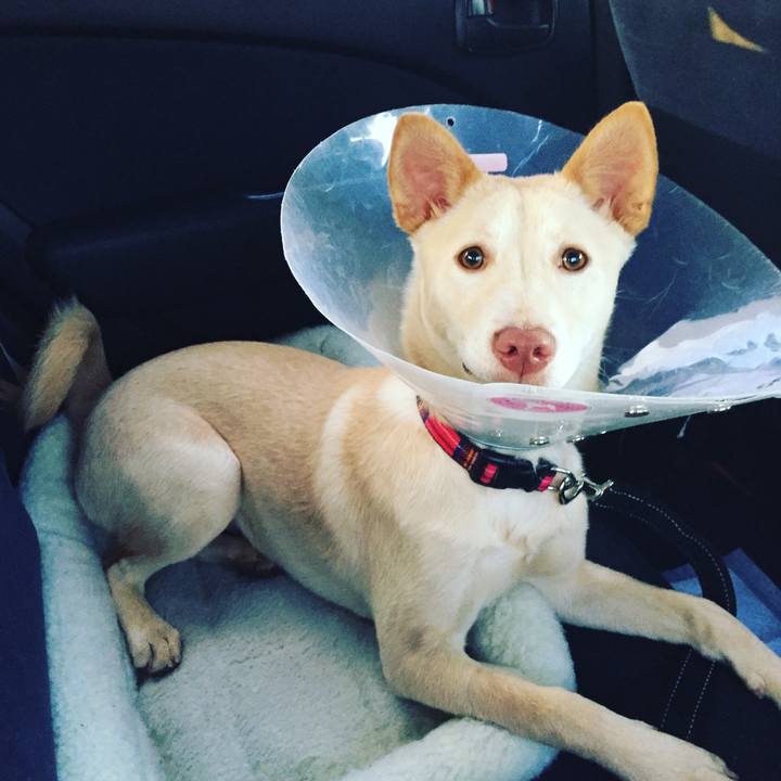 9256d537 dfb8 47cd 8c3a 16e30b7f5994