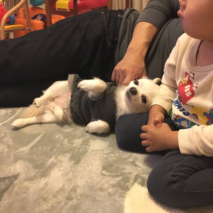 92577e26 1fa8 4c9c 86c2 b08835c43c5d