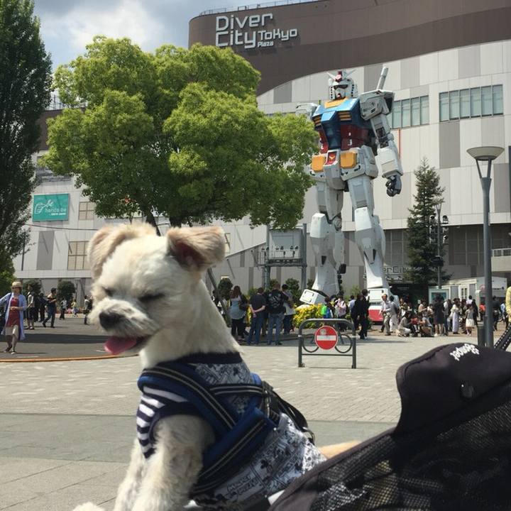 9257fa5f 1dc0 4a79 b98f a78feed3b9ba