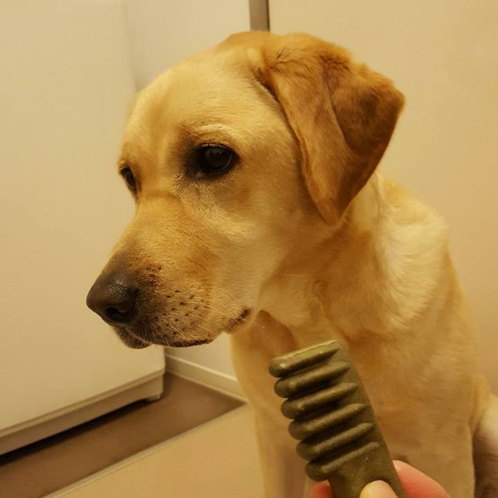 92592436 6101 4b77 87b7 5522e2e59657