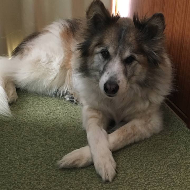 9259565f 50f9 45d5 a603 9f7cf105e180