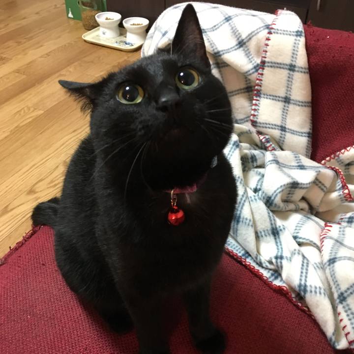 925962c3 8508 433a 9b37 270f20ccef6e