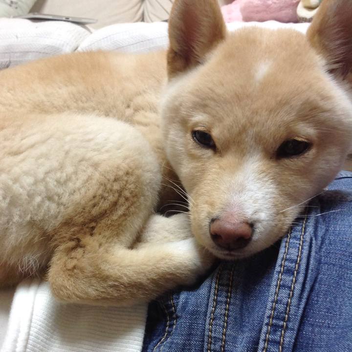 9259b1e8 c470 40c7 b892 f6f911d29901