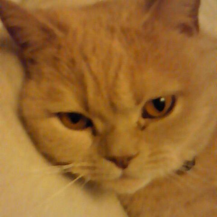 925a7f57 034f 4447 854a 1655a4128cd4