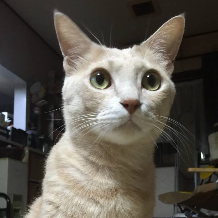 925ba4b8 db89 45bd a72f f85da3e489b9