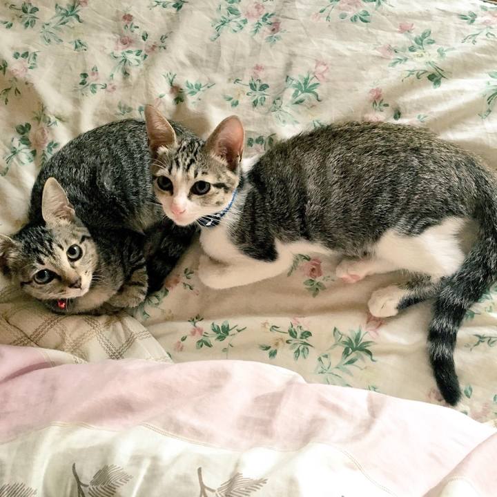 925d1604 c030 44f2 ab3c 86e38a8d5726