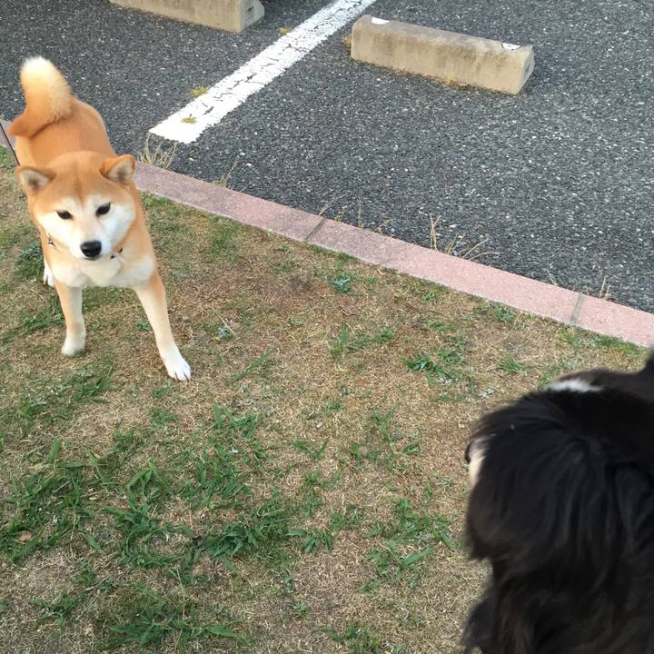 925db8ce 26af 4da0 8274 3e7648947567