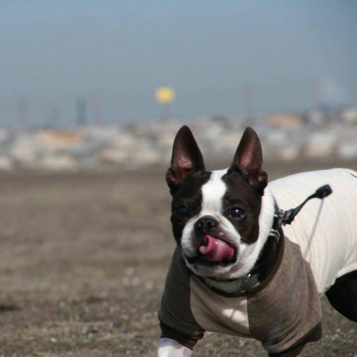 925e13a5 f7b8 4ad3 85b8 2503af070753