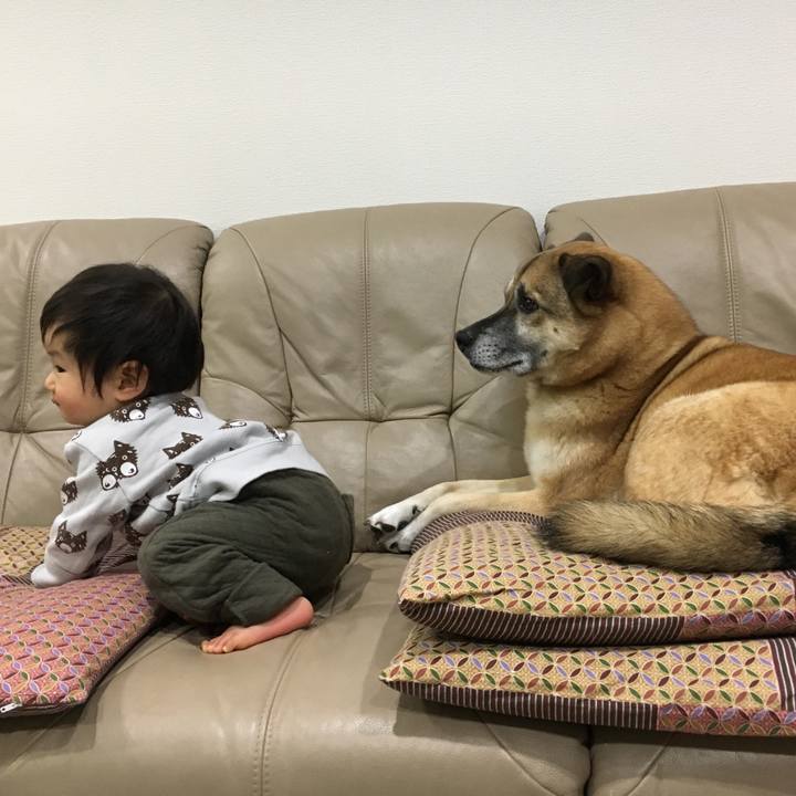 925e5454 8786 4ed0 baa0 cf4e56ece73f