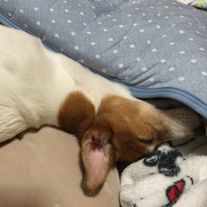 925e5b1a 90f1 4750 9404 96520bd40555