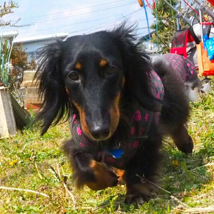 925e7bb6 6e33 41c8 b1a2 736820de6c98