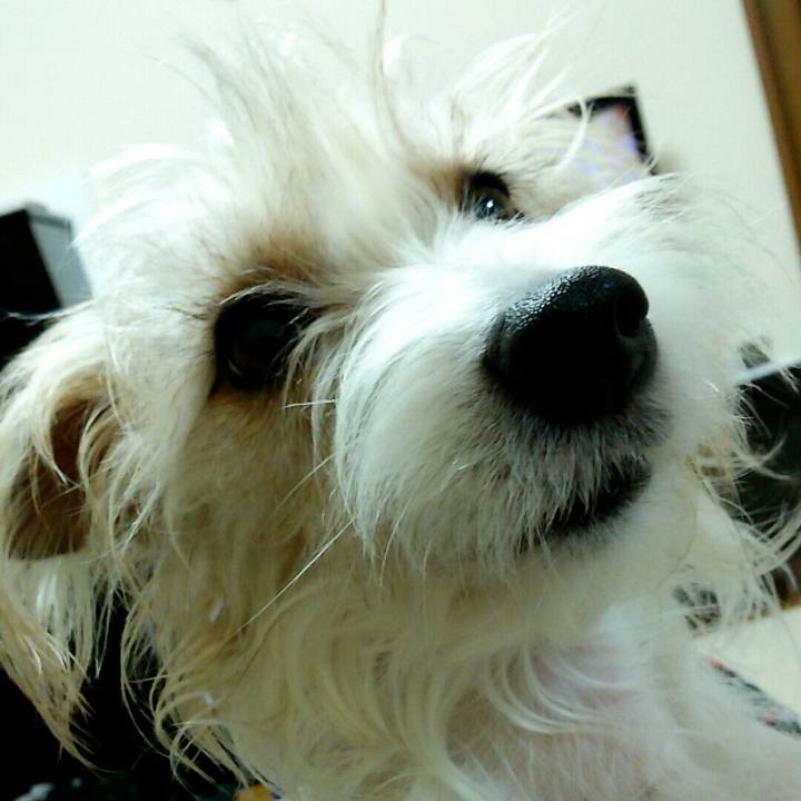 925e8e65 bb84 4a1a aa4c c7efe1a70fce