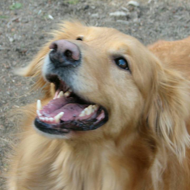 925f7a7b cfa0 4ad2 9444 d2c5fb37b6fa