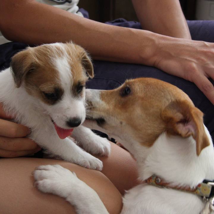 925faf2e 3a3d 440b a311 93189ad0e38b