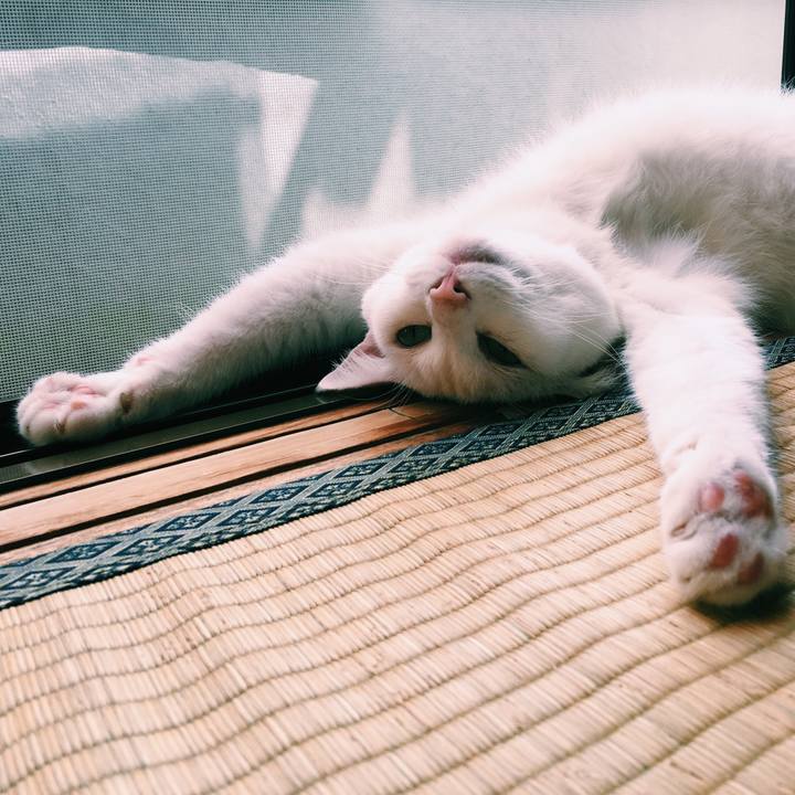 92605a86 6c41 41e9 870d 169ce91d3820