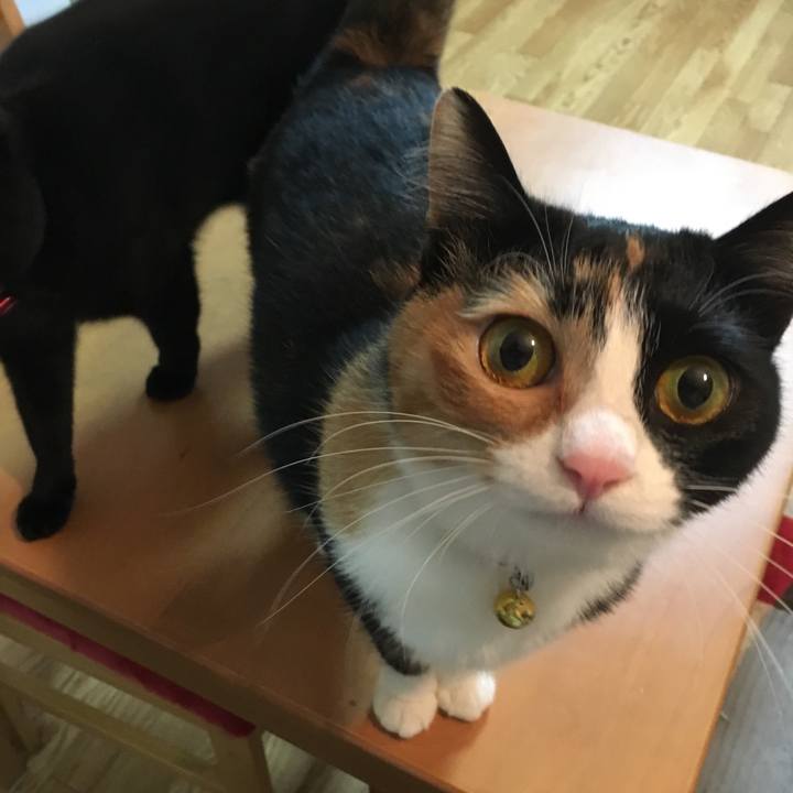 92605f59 f9c6 43fd a4e5 a9c153882c09