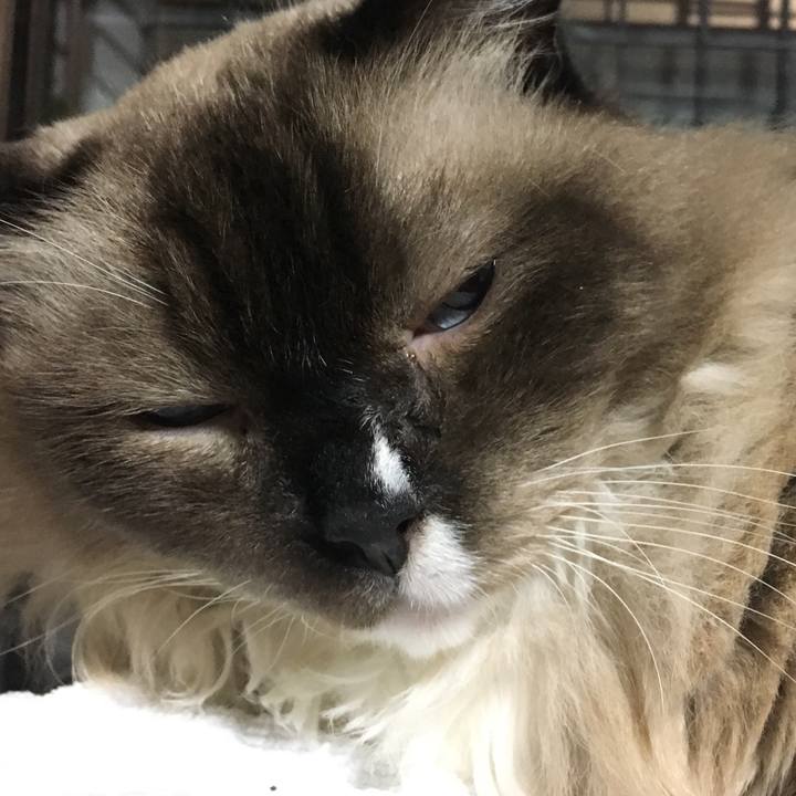 9260ea1e 6b23 419d 926d f6145733fc99