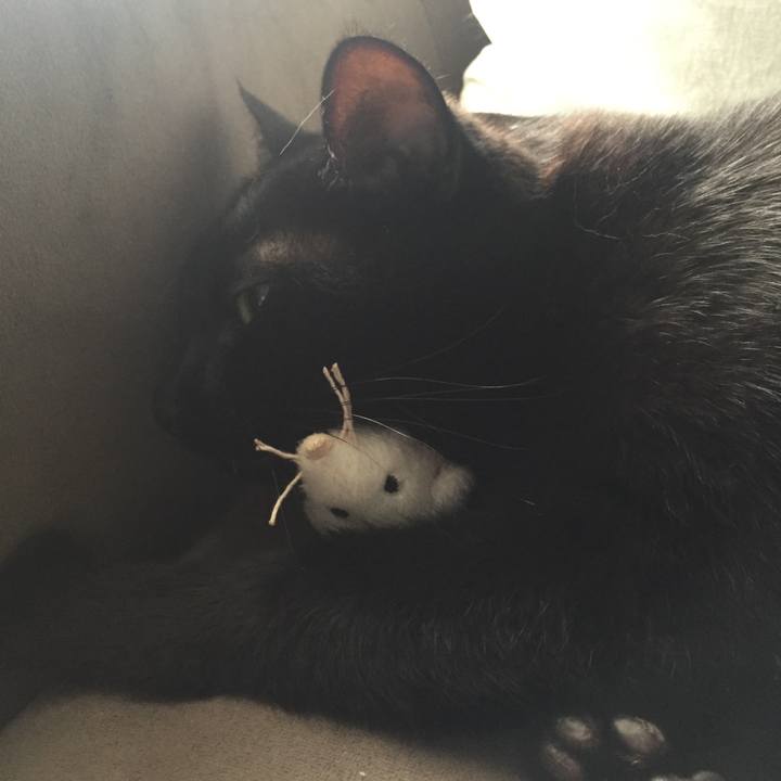 92622318 83cf 414f 8b2f 8a638f0e356f