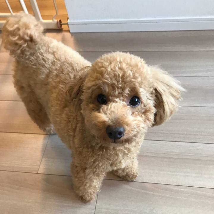 926265cb c646 486b 98dc b94c4cd32194