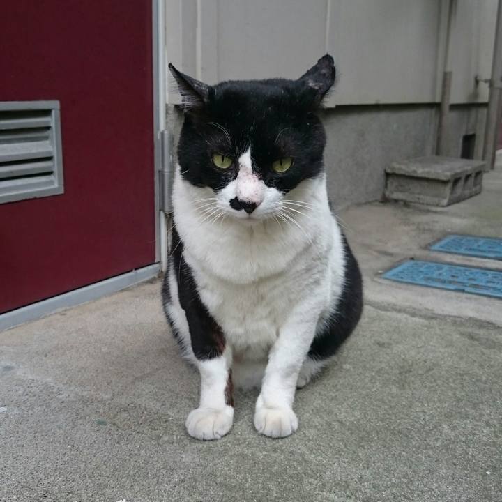 92626e62 54db 44f5 bc04 d097c8ee4966