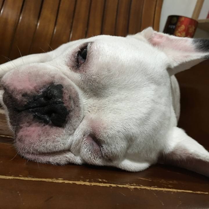 9262ed63 54f1 4ed8 aa21 bbdb7199efc2