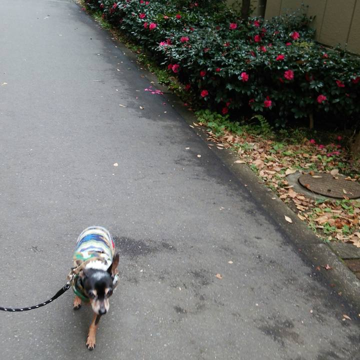 92631ef8 0af3 4fe1 b1d1 61a25edb9333