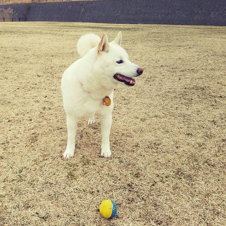 92633237 8482 46d9 8399 c7bc831f1d54