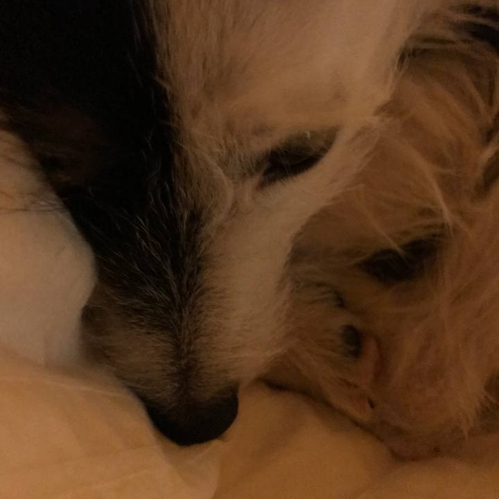 926393a8 aa39 43ef a571 198595bbe8ca