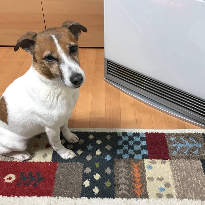 9263f132 8acd 4644 9ffe 266733e333c5