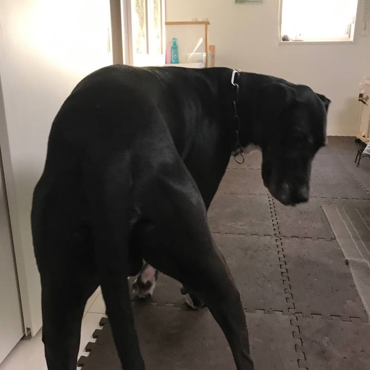 926440e0 e5a5 4cc6 be91 a12561c0cac0