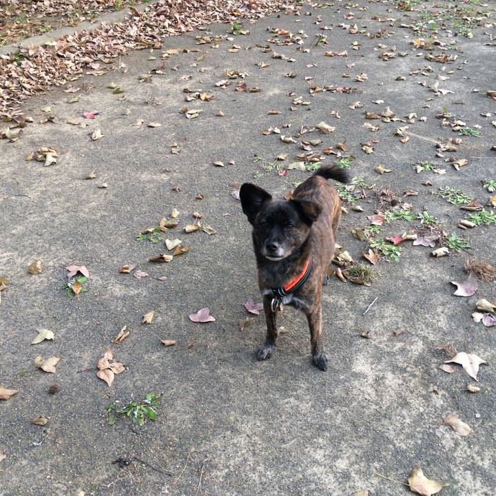 9264f256 5a84 4d91 b919 825d35b5673c