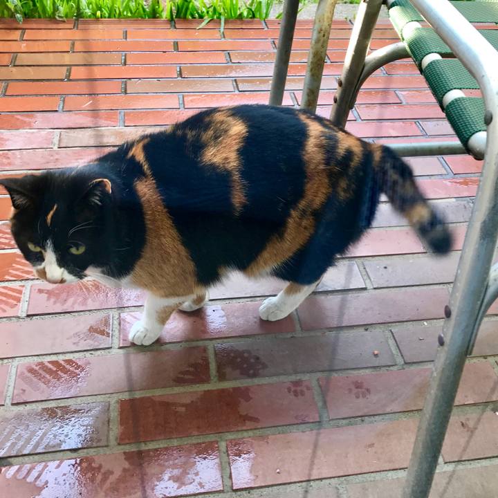 92650d2d 4259 421a 9b6f c52ec45f62c1