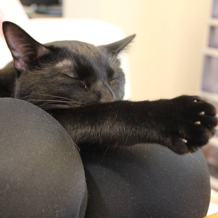 92655bfd 713f 4566 bc77 3b071cc3d345