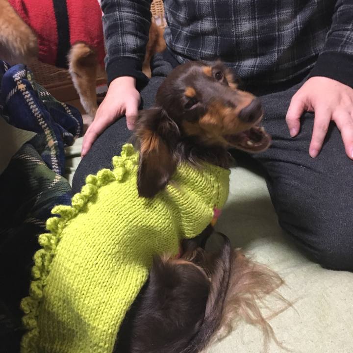 926580c5 6b9b 4c4b b4d5 99f06253f2dd