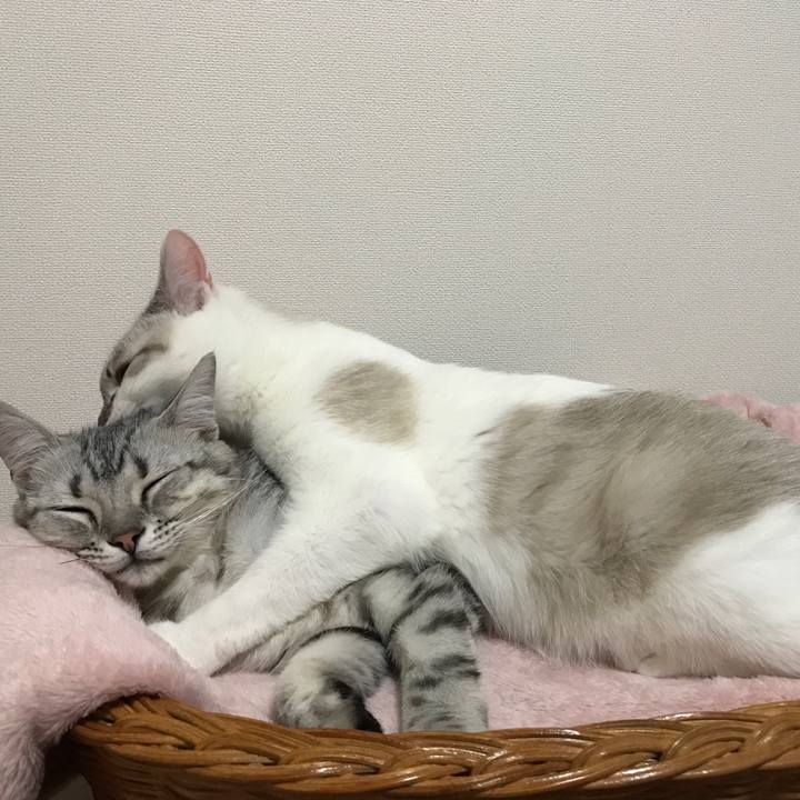 9265c66f b686 46e3 bb82 638bc561459d